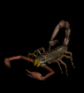images-69_1_.gif