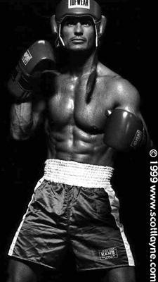 boxer010008c.jpg