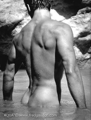 fesses