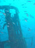 dsc01218b.jpg