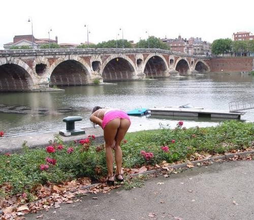 exhib au pont d avignon