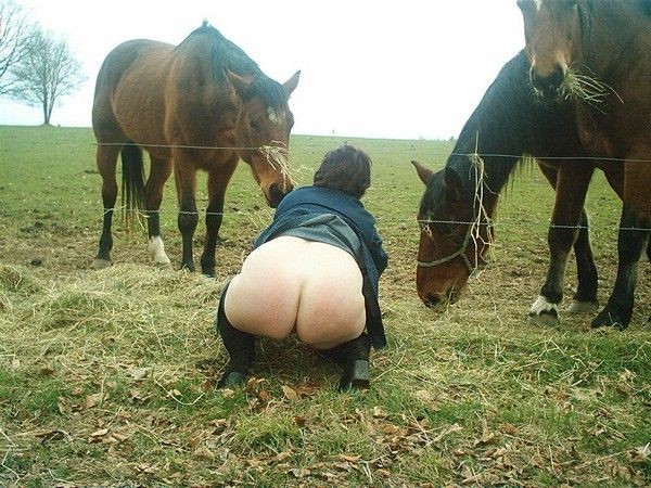exhib, cheval, pré, salope, grosse