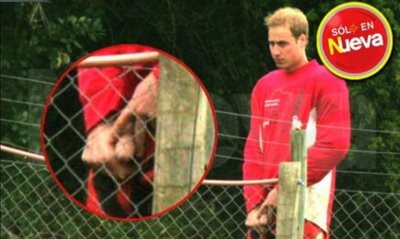 prince william penis bite nu