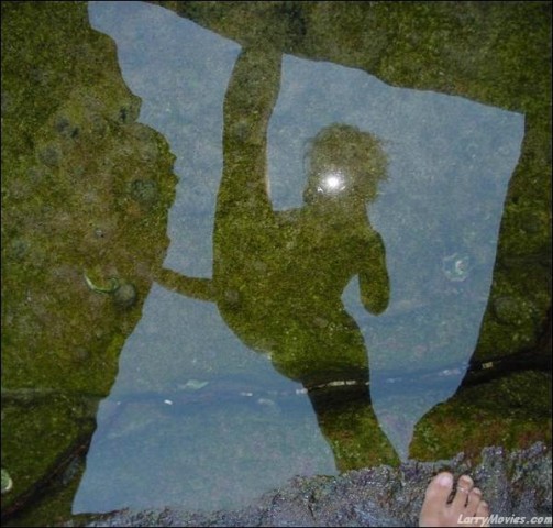 reflet artistique nue