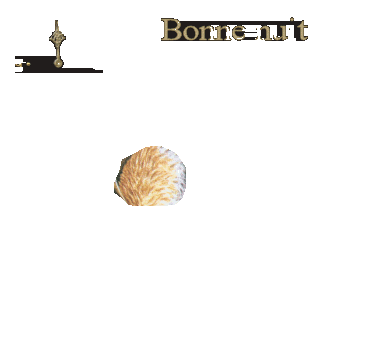 bonnenuit160308ra7.gif