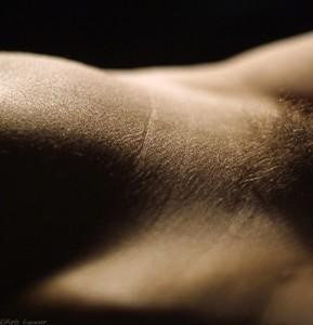 6972605-p.jpg