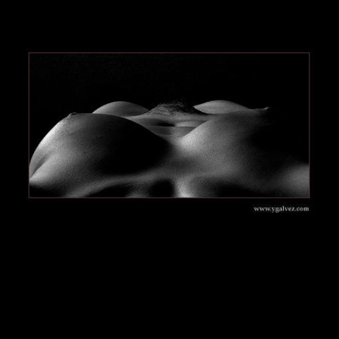 www.ygalvez.com03.jpg