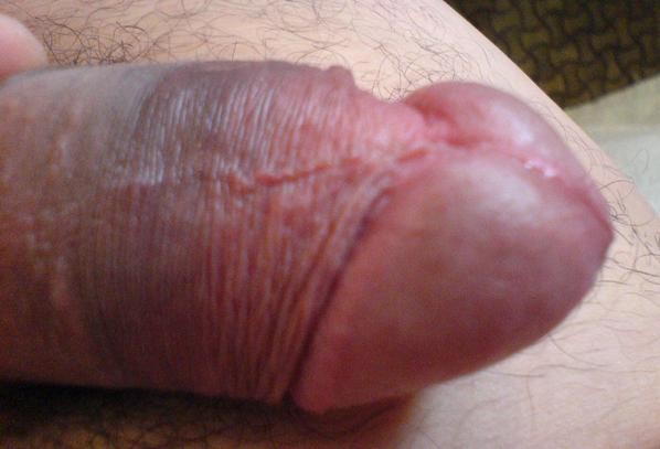 dsc00080.jpg