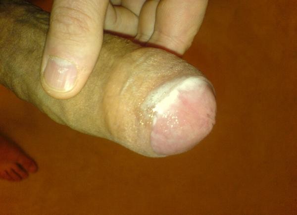 dsc00305.jpg