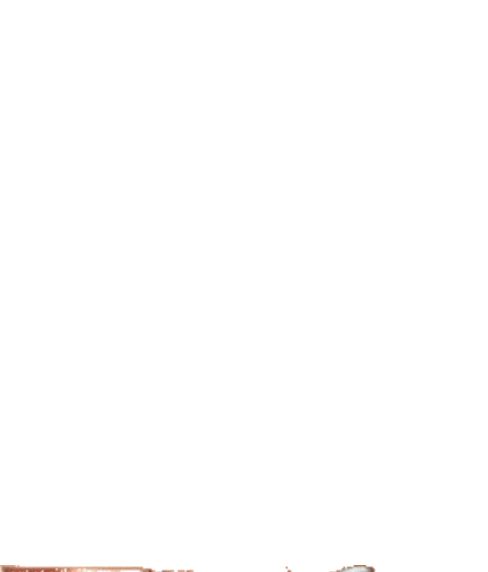 plaext--ejaculation-vulve1_1_-1.gif