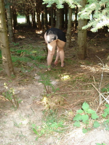 bichedesbois-d.JPG