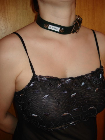 mi-chienne-s566a.jpg