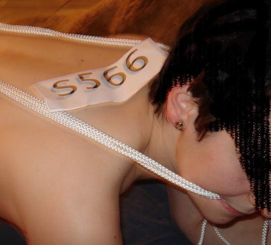 s566-39