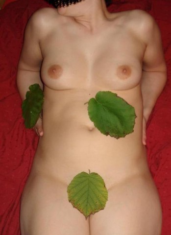 chute-des-feuilles-c.jpg