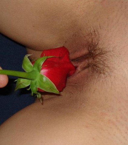 les-deux-fleurs-d.jpg