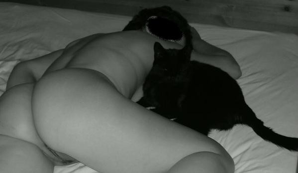 chatte-noir-et-blanc-a.jpg