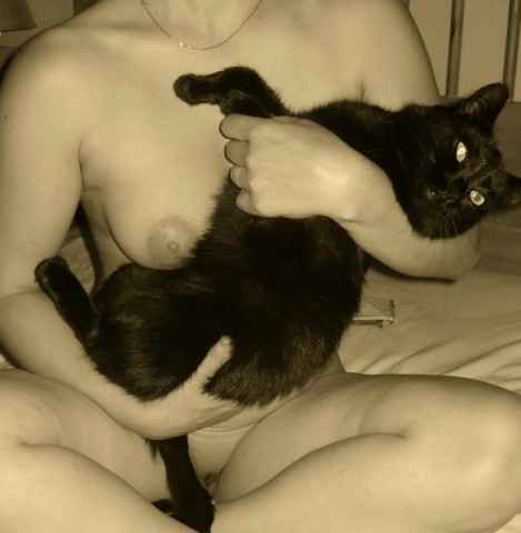 chatte-noir-et-blanc-d.jpg