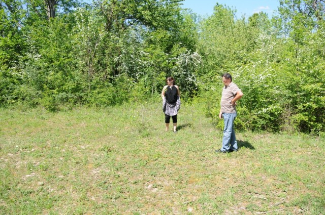 balade-dans-les-bois-1 3282 [Résolution de l'écran]