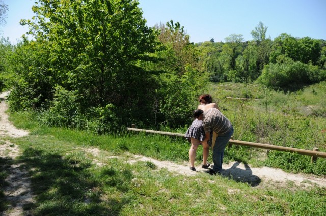 balade-dans-les-bois-1 3437 [Résolution de l'écran]