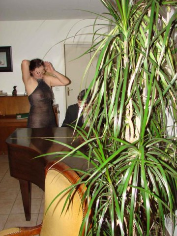 2008-01-31---piano-174-low.jpg