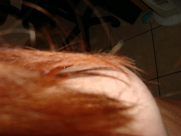 dsc03368-_desktop-resolution_.jpg