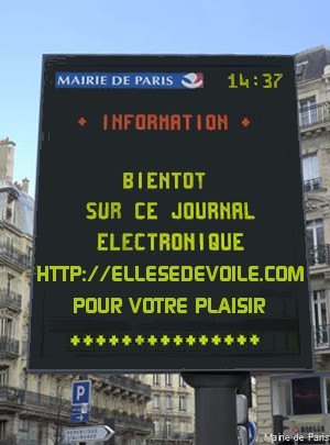 PANNEAU-ELLESEDEVOILEPARIS.jpg