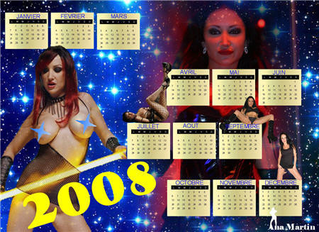 calendrier-2008bis.jpg
