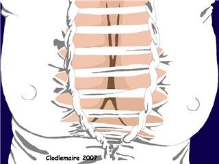 dessinclodlemaire.jpg