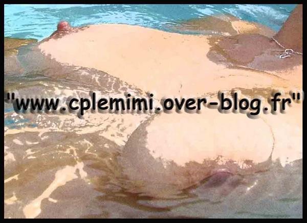 blog141.jpg