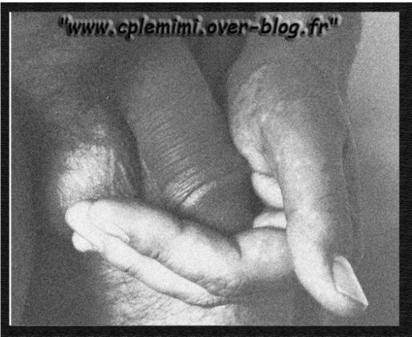 blog58.jpg