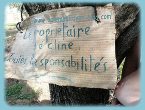 Blog190.jpg