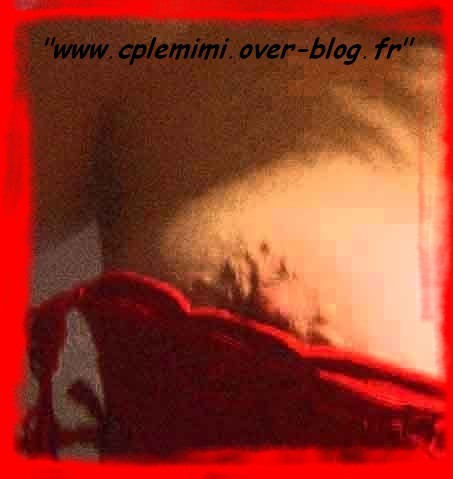blog162.jpg
