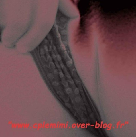 blog44.jpg