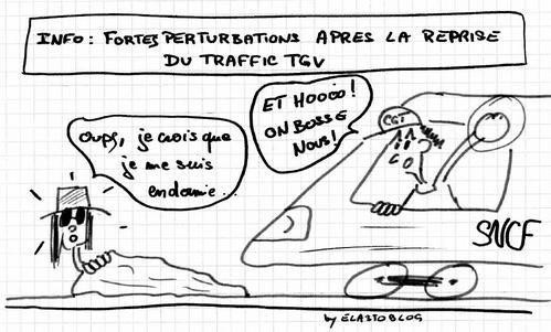 coralie3.jpg