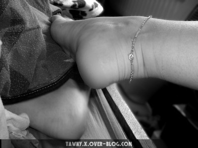 PIED-NB-1.jpg