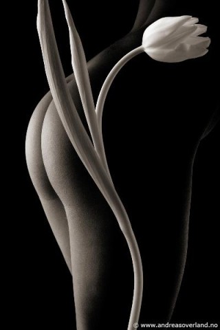 Fesses--45-.jpg