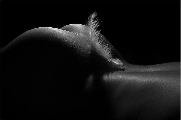 Fesses--54-.jpg