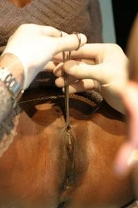 tatoo006.jpg