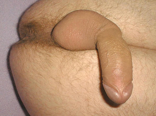 02ExhiBoys-les-teubs--16-.jpg