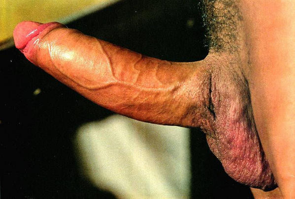 19ExhiBoys-les-teubs--23-.jpg