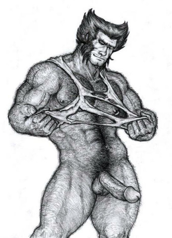 Wolverine.jpg