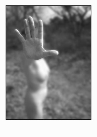 img3.jpg