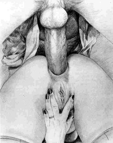 Enculer-chatte--cart-.jpg