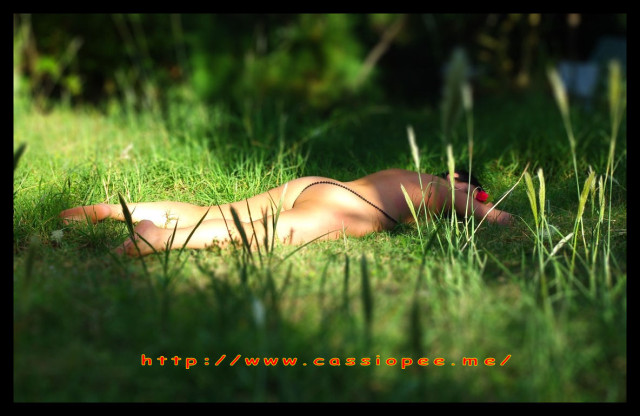 cassa (2)