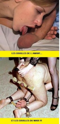 comparatif.jpg