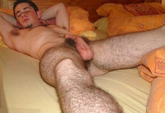 poils8