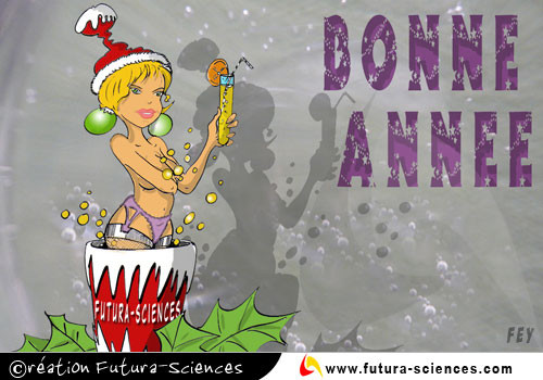 bonne-annee-2010fey-copie-1