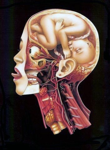 arcimboldo-foetus