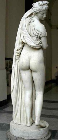 VenusCallipygos