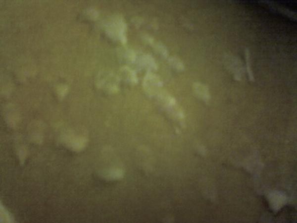 2008-02-09-photo-025.jpg